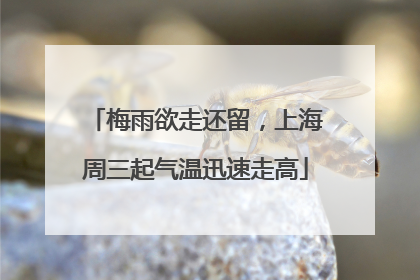 梅雨欲走还留，上海周三起气温迅速走高