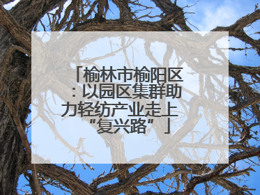 榆林市榆阳区：以园区集群助力轻纺产业走上“复兴路”