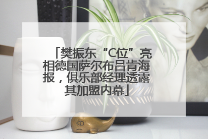 樊振东“C位”亮相德国萨尔布吕肯海报，俱乐部经理透露其加盟内幕