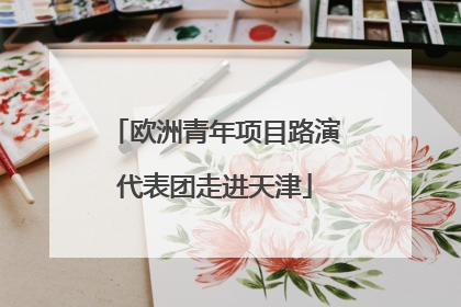欧洲青年项目路演代表团走进天津