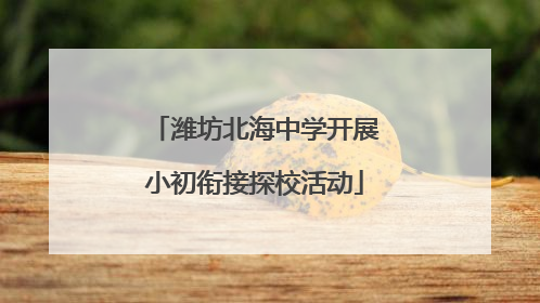 潍坊北海中学开展小初衔接探校活动