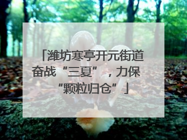 潍坊寒亭开元街道奋战“三夏”，力保“颗粒归仓”