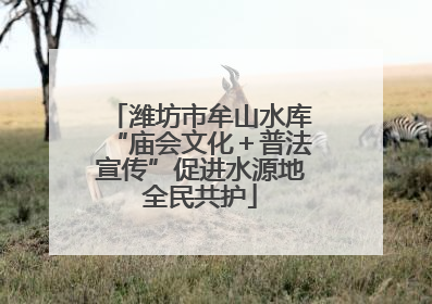潍坊市牟山水库“庙会文化＋普法宣传”促进水源地全民共护