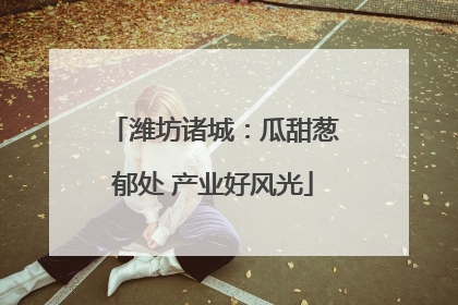 潍坊诸城：瓜甜葱郁处 产业好风光