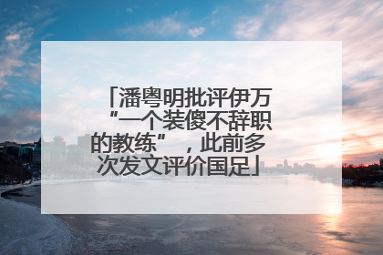 潘粤明批评伊万“一个装傻不辞职的教练”，此前多次发文评价国足