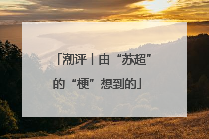 潮评丨由“苏超”的“梗”想到的