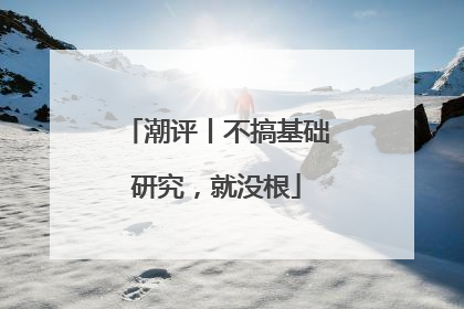 潮评丨不搞基础研究，就没根