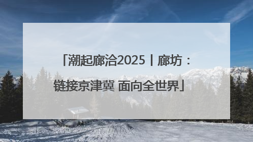 潮起廊洽2025丨廊坊：链接京津冀 面向全世界