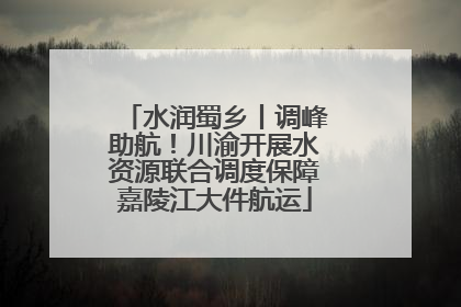 水润蜀乡丨调峰助航！川渝开展水资源联合调度保障嘉陵江大件航运