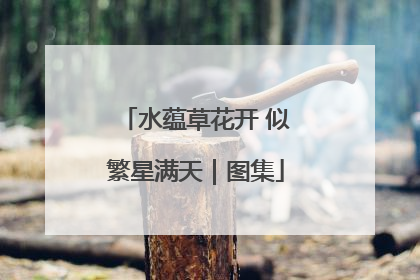 水蕴草花开 似繁星满天｜图集