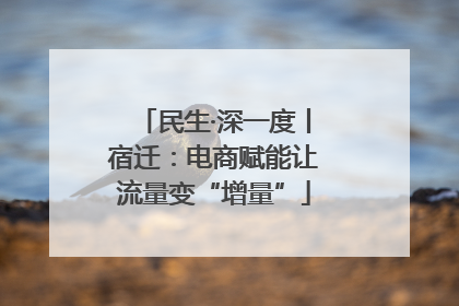 民生·深一度丨宿迁：电商赋能让流量变“增量”