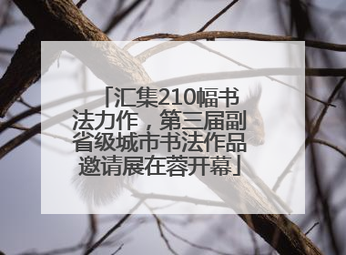 汇集210幅书法力作，第三届副省级城市书法作品邀请展在蓉开幕