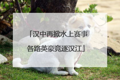 汉中再掀水上赛事 各路英豪竞逐汉江