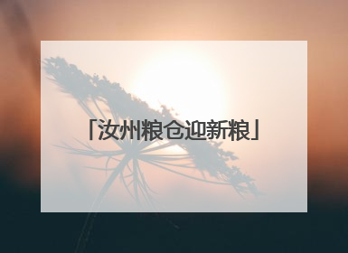 汝州粮仓迎新粮
