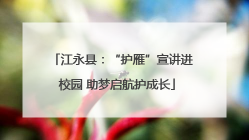 江永县：“护雁”宣讲进校园 助梦启航护成长