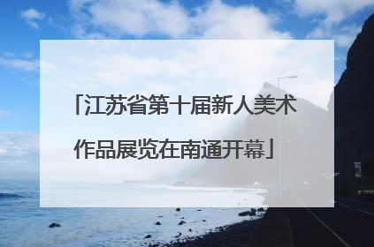 江苏省第十届新人美术作品展览在南通开幕