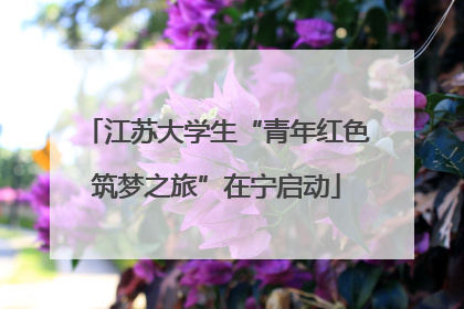 江苏大学生“青年红色筑梦之旅”在宁启动
