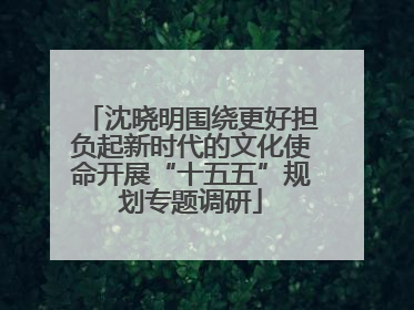沈晓明围绕更好担负起新时代的文化使命开展“十五五”规划专题调研