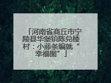 河南省商丘市宁陵县华堡镇陈兑楼村：小藤条编就“幸福图”