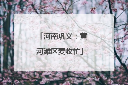 河南巩义：黄河滩区麦收忙