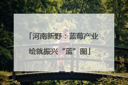 河南新野：蓝莓产业绘就振兴“蓝”图