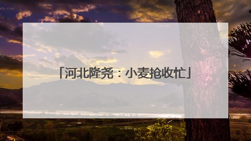 河北隆尧：小麦抢收忙