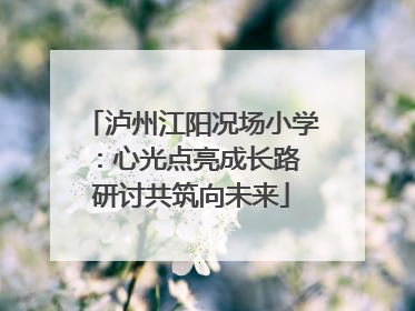 泸州江阳况场小学：心光点亮成长路 研讨共筑向未来