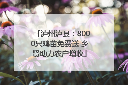 泸州泸县：8000只鸡苗免费送 乡贤助力农户增收