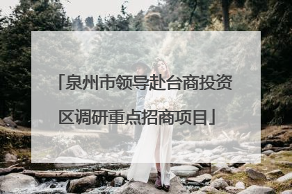 泉州市领导赴台商投资区调研重点招商项目