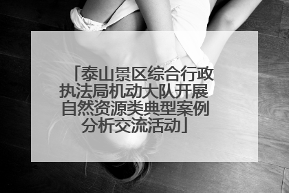 泰山景区综合行政执法局机动大队开展自然资源类典型案例分析交流活动