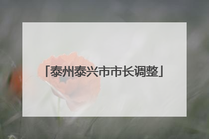 泰州泰兴市市长调整