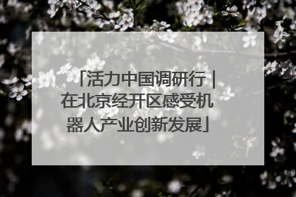 活力中国调研行｜在北京经开区感受机器人产业创新发展