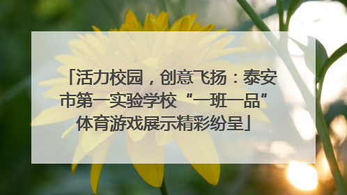 活力校园，创意飞扬：泰安市第一实验学校“一班一品”体育游戏展示精彩纷呈