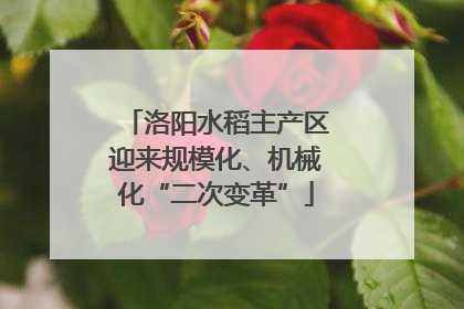洛阳水稻主产区迎来规模化、机械化“二次变革”