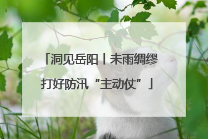 洞见岳阳丨未雨绸缪 打好防汛“主动仗”