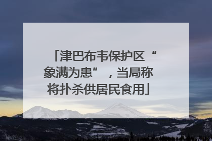津巴布韦保护区“象满为患”，当局称将扑杀供居民食用