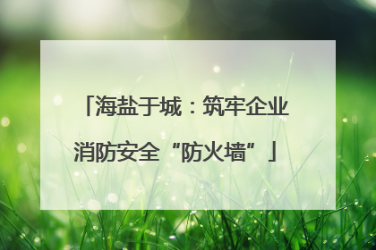 海盐于城：筑牢企业消防安全“防火墙”