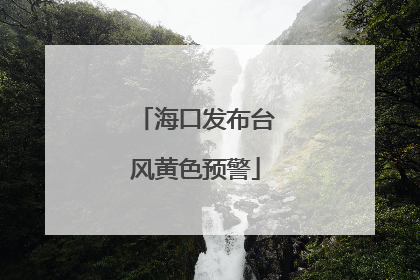 海口发布台风黄色预警
