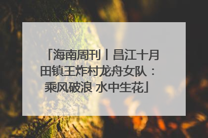 海南周刊丨昌江十月田镇王炸村龙舟女队：乘风破浪 水中生花