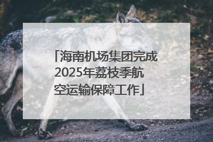 海南机场集团完成2025年荔枝季航空运输保障工作