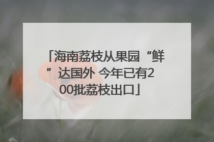 海南荔枝从果园“鲜”达国外 今年已有200批荔枝出口