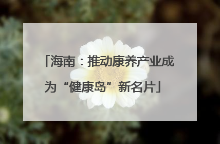 海南：推动康养产业成为“健康岛”新名片