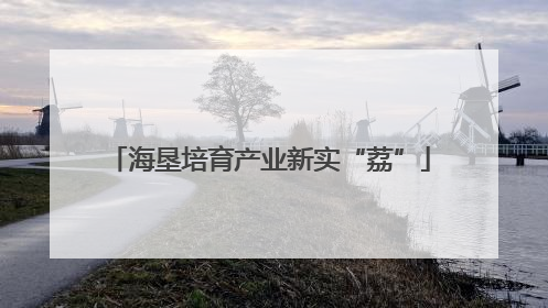 海垦培育产业新实“荔”