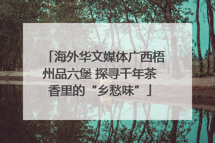 海外华文媒体广西梧州品六堡 探寻千年茶香里的“乡愁味”