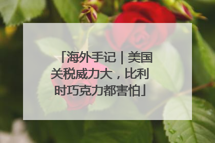 海外手记｜美国关税威力大，比利时巧克力都害怕