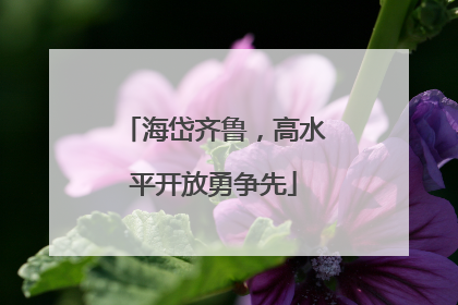 海岱齐鲁，高水平开放勇争先