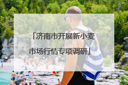 济南市开展新小麦市场行情专项调研