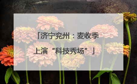济宁兖州：麦收季上演“科技秀场”