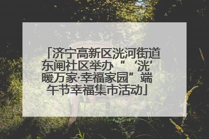 济宁高新区洸河街道东闸社区举办“‘洸’暖万家·幸福家园”端午节幸福集市活动