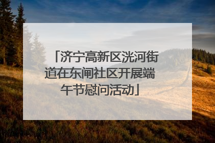 济宁高新区洸河街道在东闸社区开展端午节慰问活动